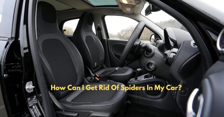 How Can I Get Rid Of Spiders In My Car? image