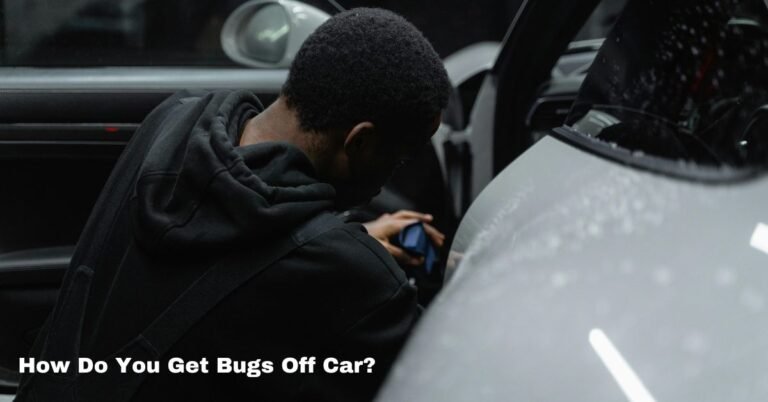 How Do You Get Bugs Off Car image
