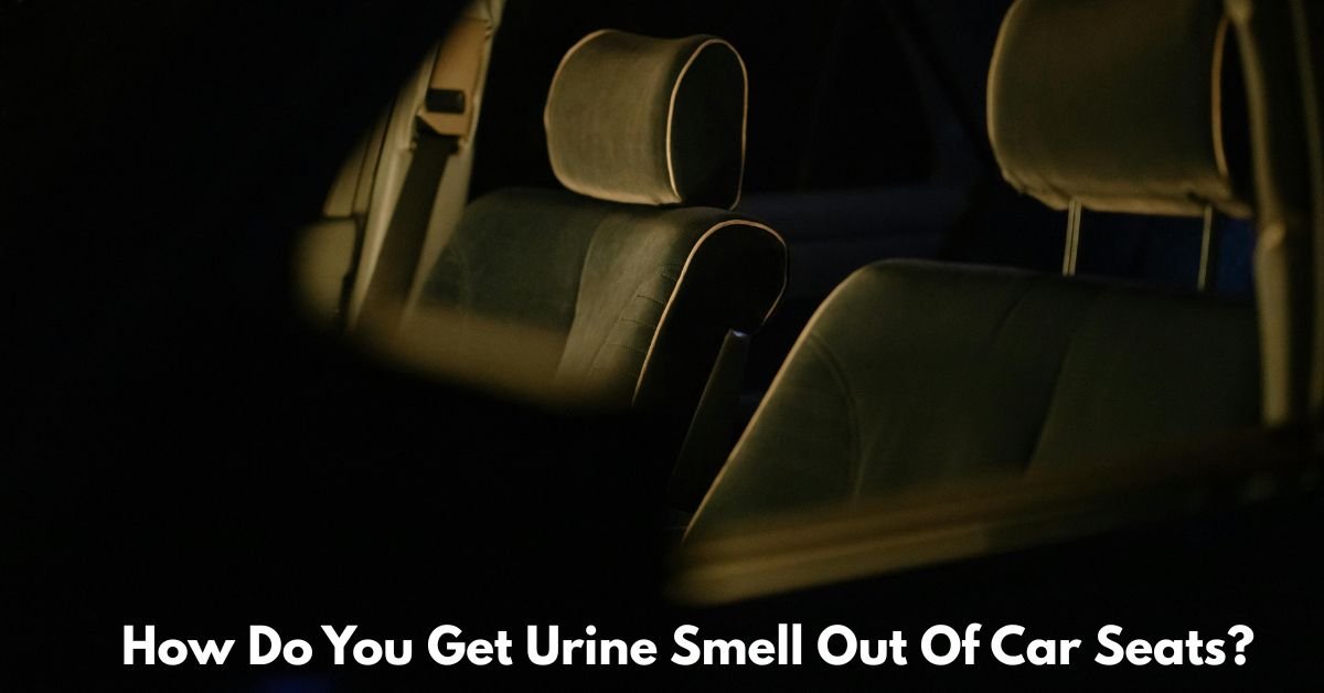 How Do You Get Urine Smell Out Of Car Seats? image