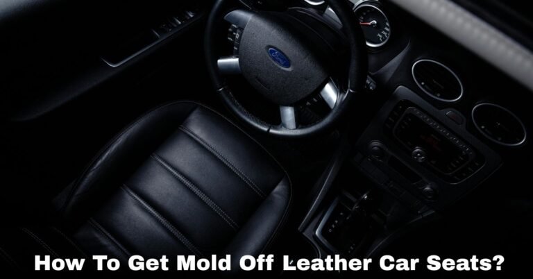 How To Get Mold Off Leather Car Seats? image
