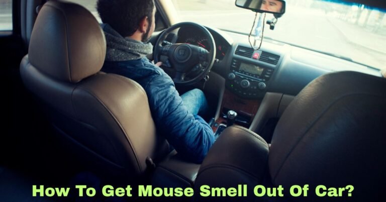 How To Get Mouse Smell Out Of Car? image