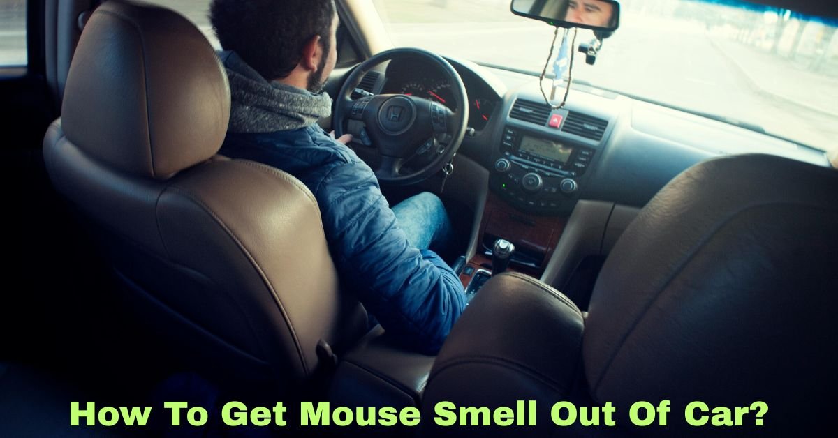 How To Get Mouse Smell Out Of Car? image