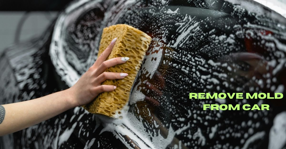 How To Remove Mold From Car image