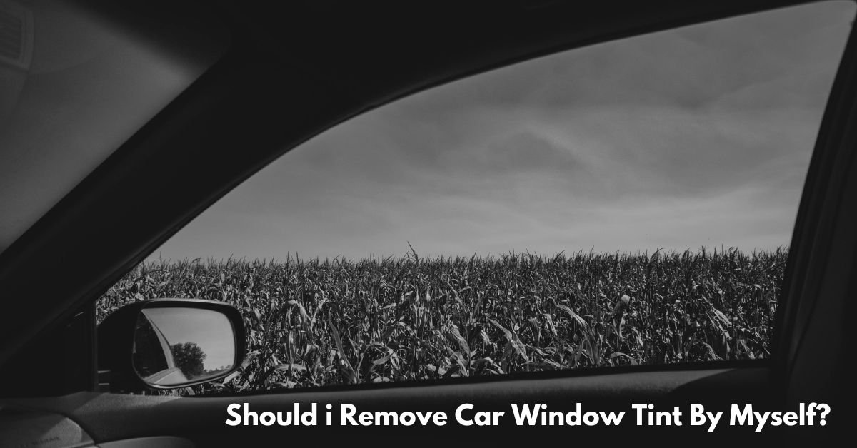 Should i Remove Car Window Tint By Myself? image